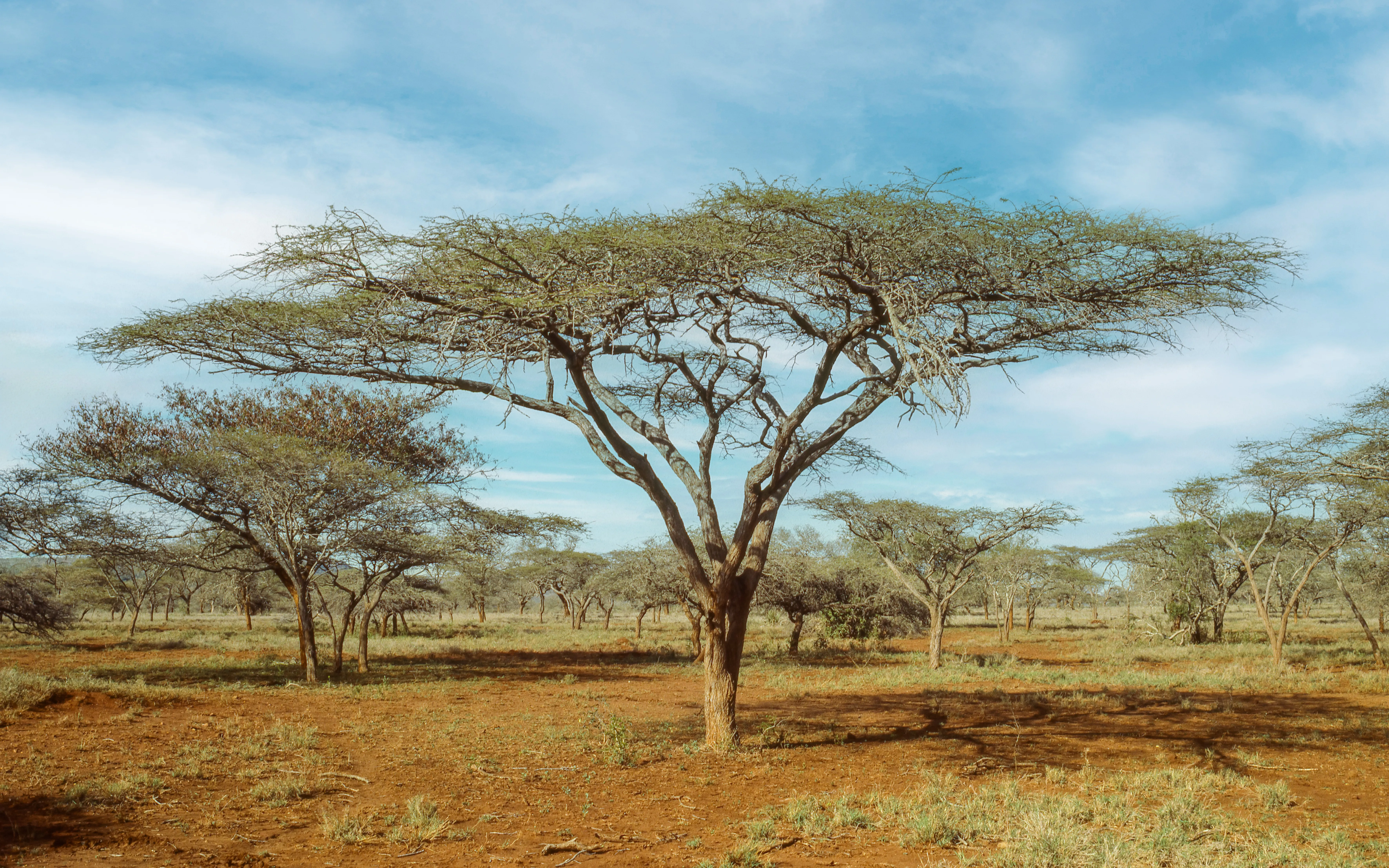 uMkhuze Game Reserve