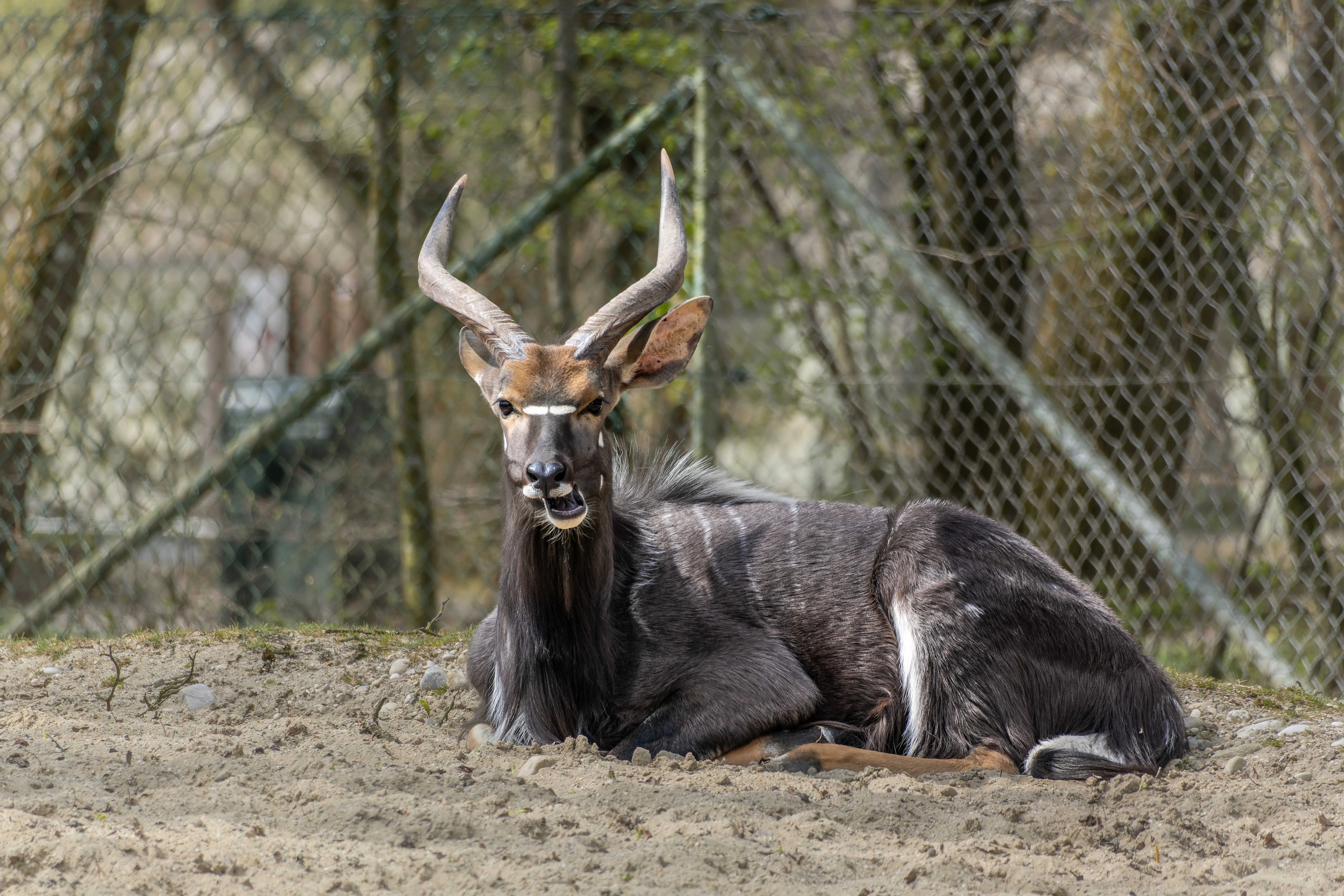 Zulu Nyala Private Game Reserve