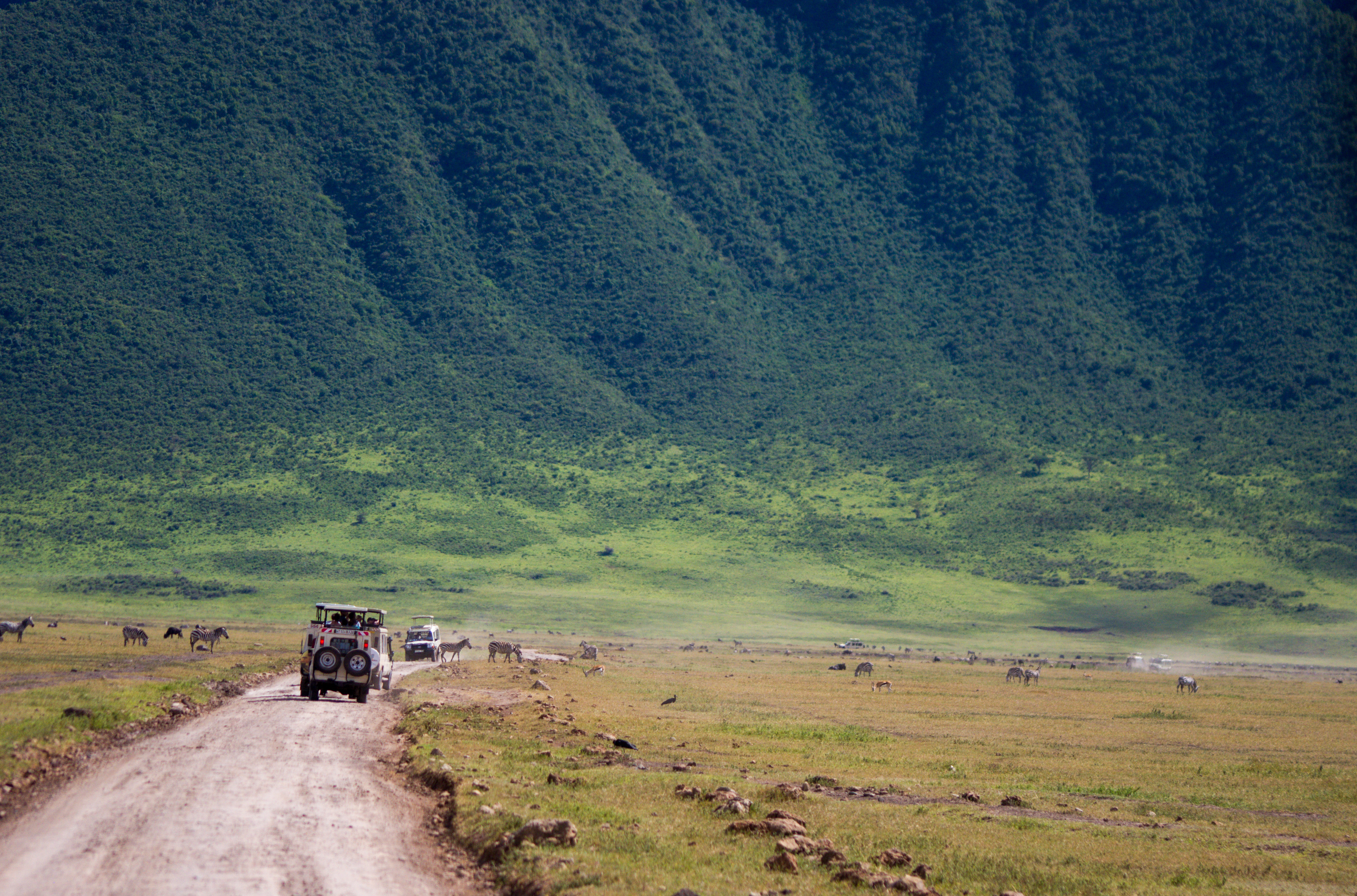 Ngorongoro crater landscape