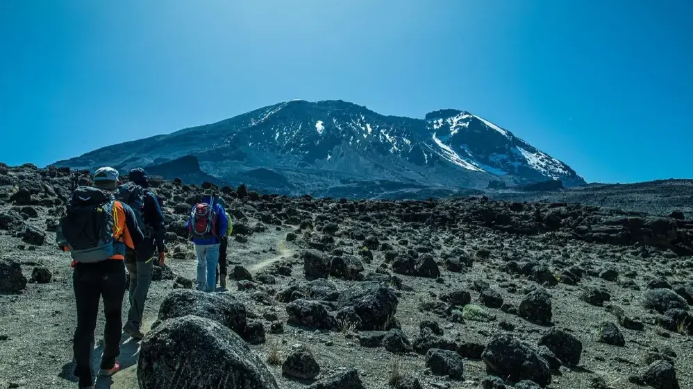 Trekkers ascending Mount Kilimanjaro above the clouds at sunrise, Tanzania.