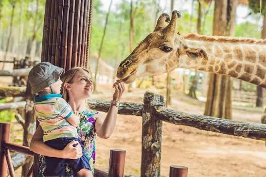 3-Day Nairobi Culture, Community & Wildlife Experience
