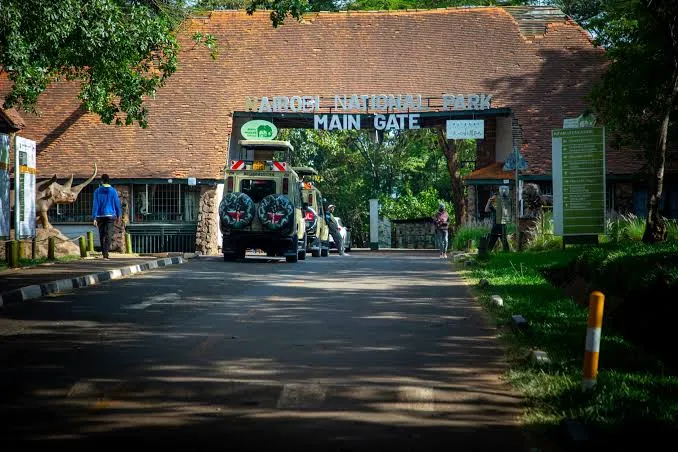 3-Day Nairobi Culture, Community & Wildlife Experience