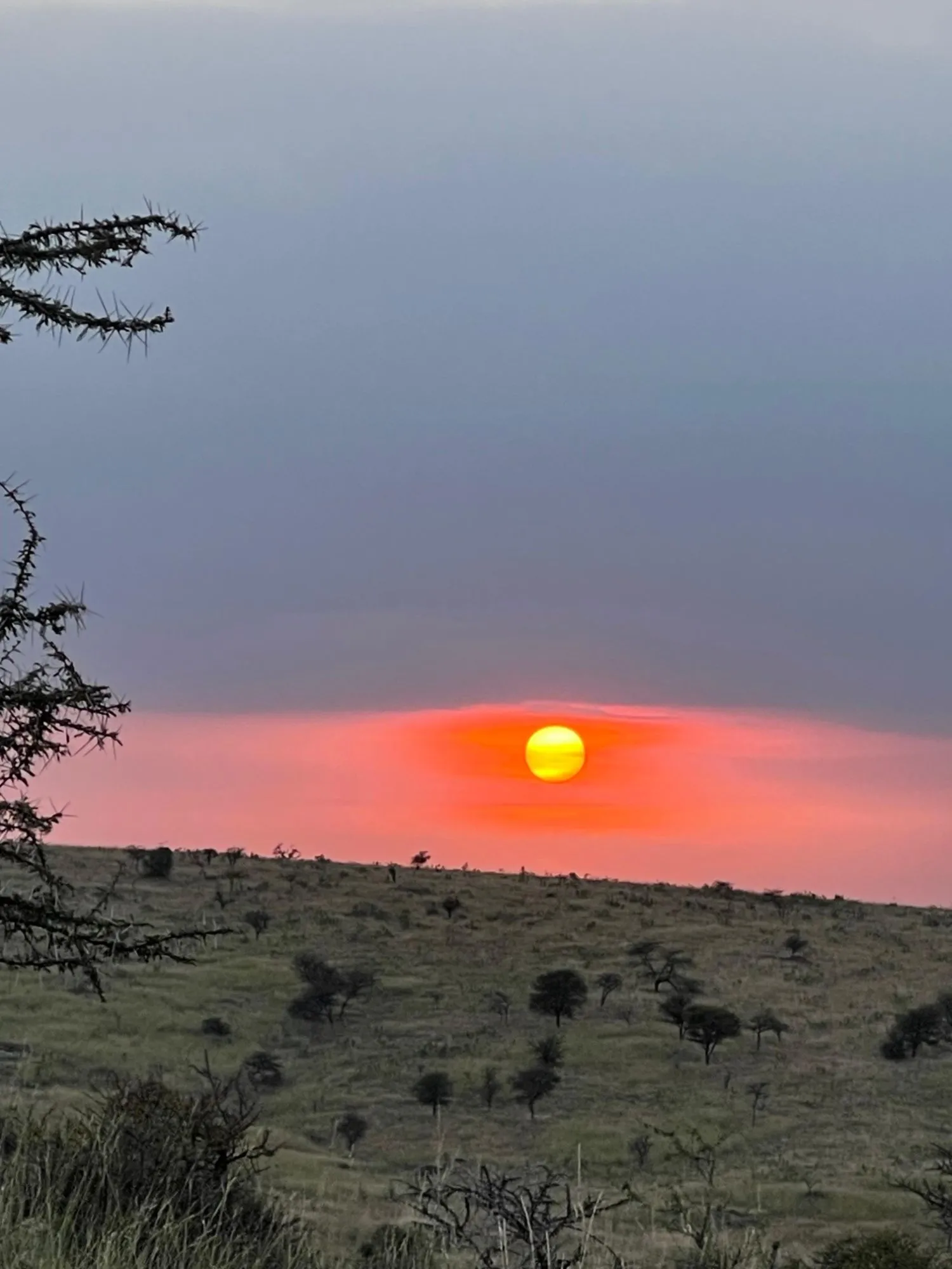 4-Day Into the Serengeti