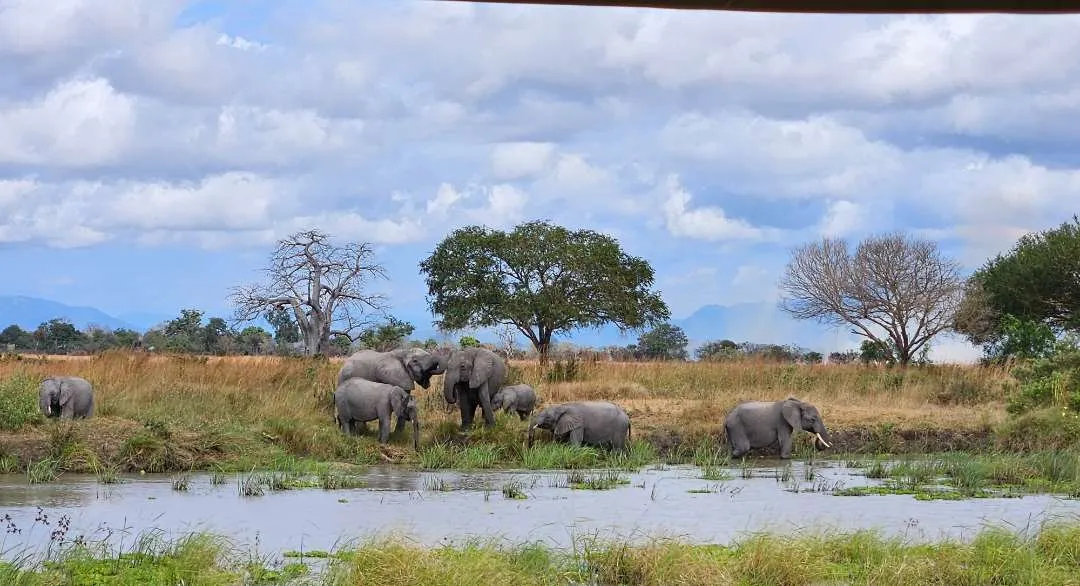 3-Day Serengeti Plains and Ngorongoro Crater Safari