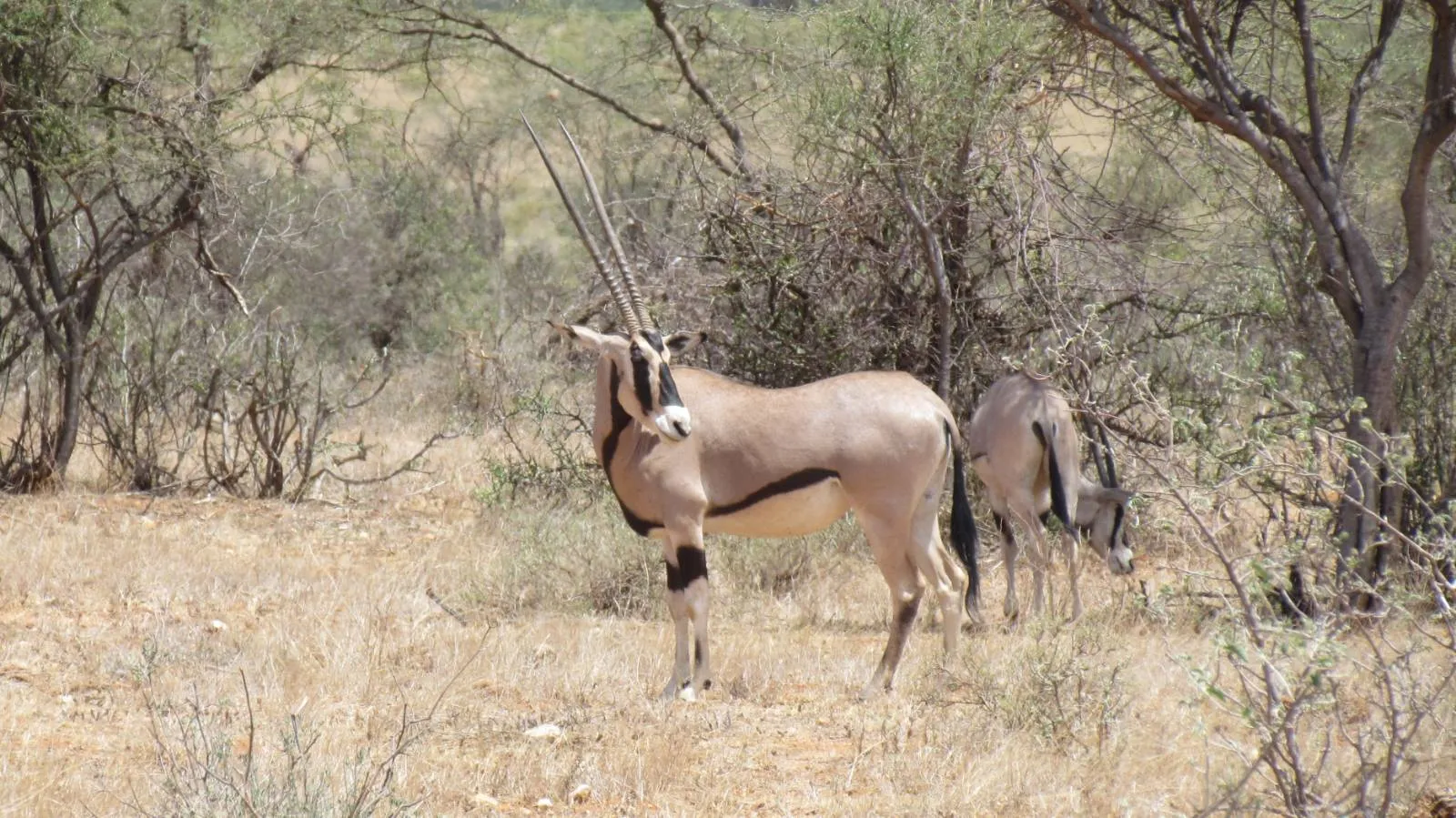 13-Day Kenya Family Private Safari Adventure