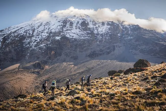 9-Day Climbing Kilimanjaro Lemosho Route