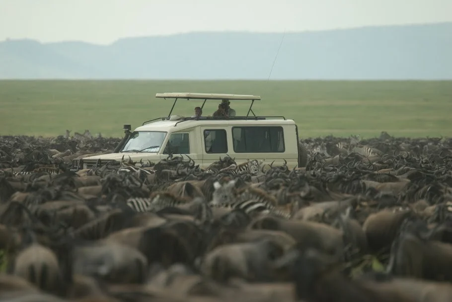 9-Day Serengeti Wildebeest Migration Safari