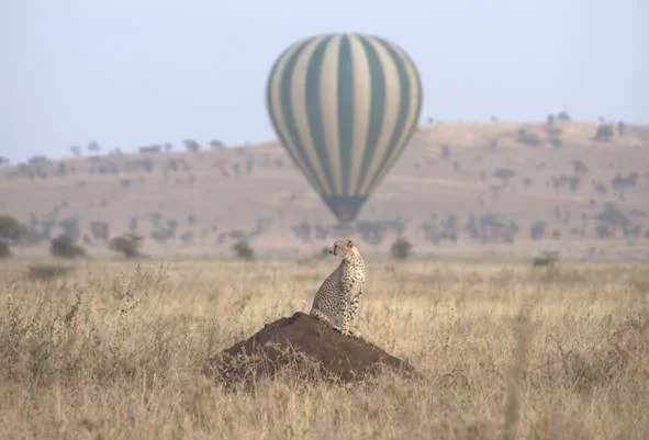 Tour image 5