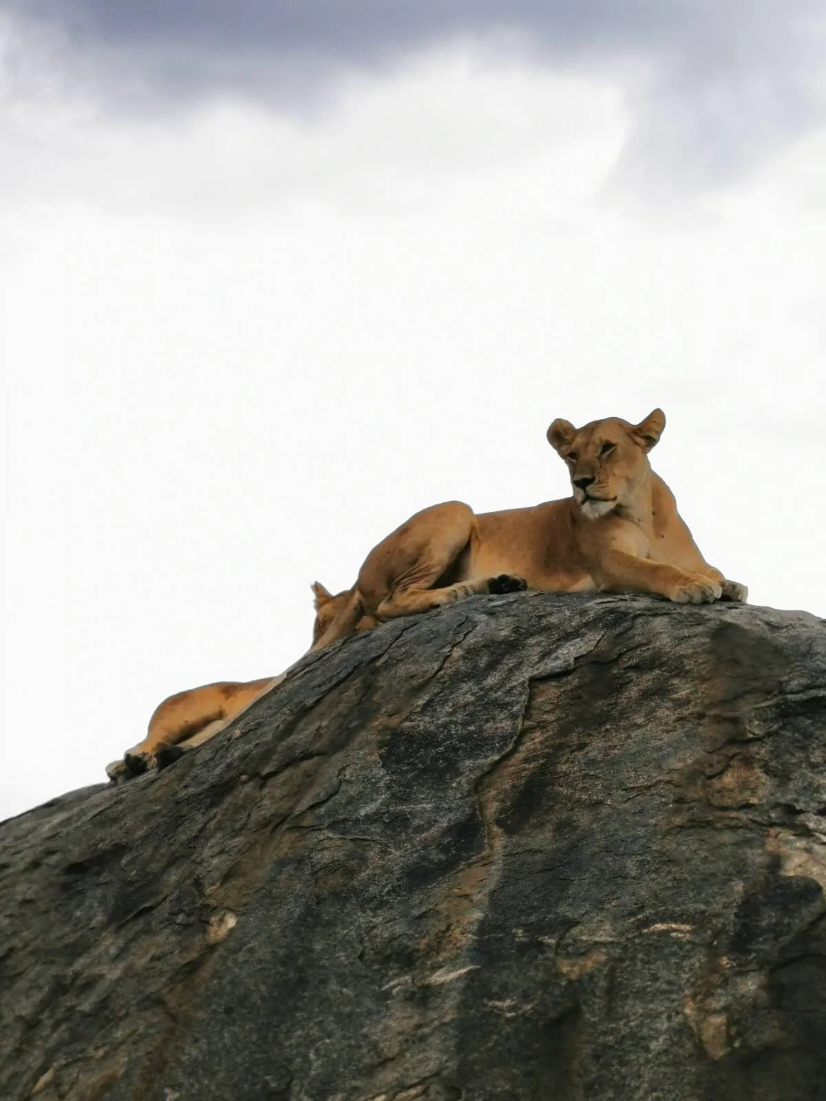Tour image 2