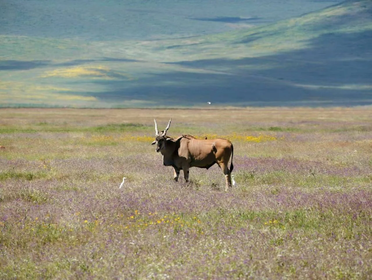 Tour image 1