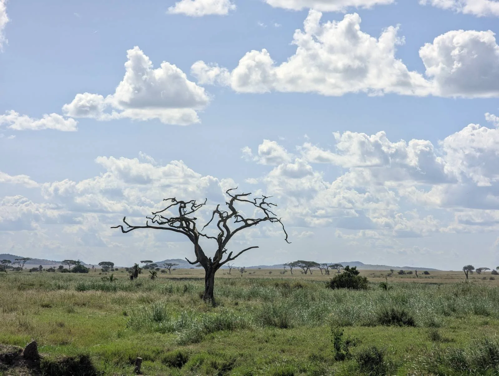 Tour image 5