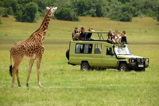 Tour image 1