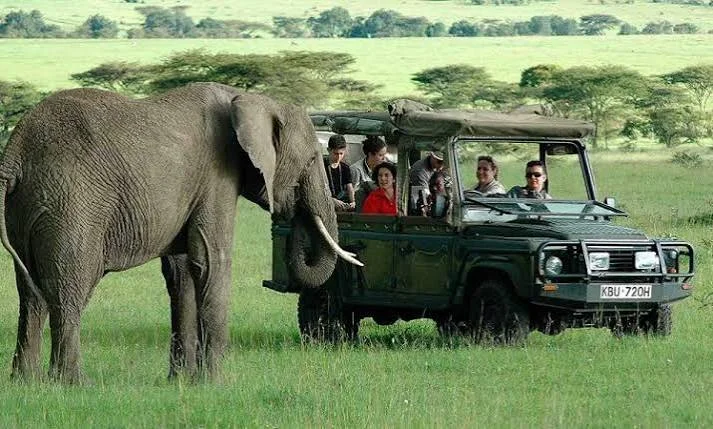 Tour image 2