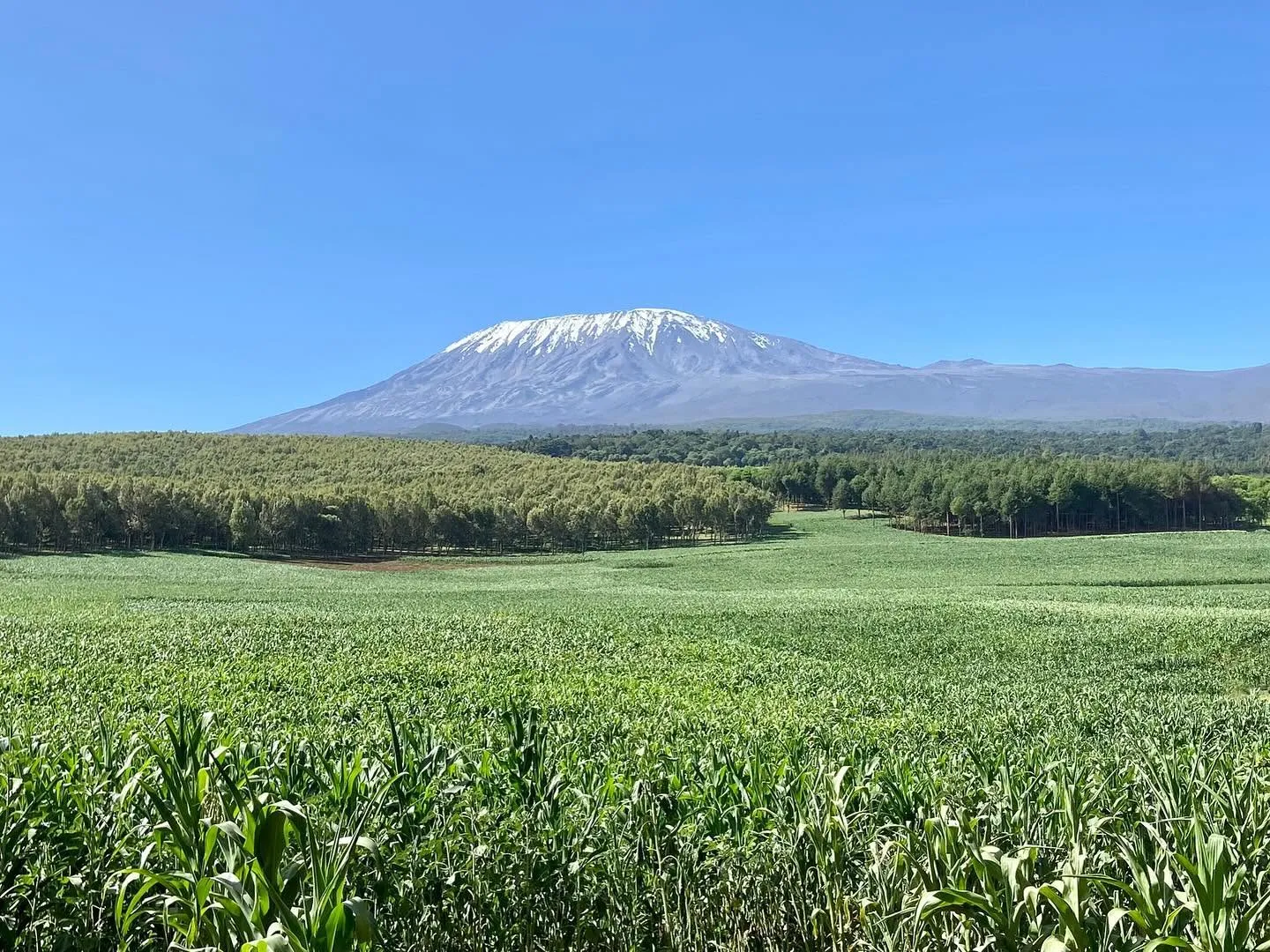 9-Day Kilimanjaro Lemosho & Crater Camp Trek