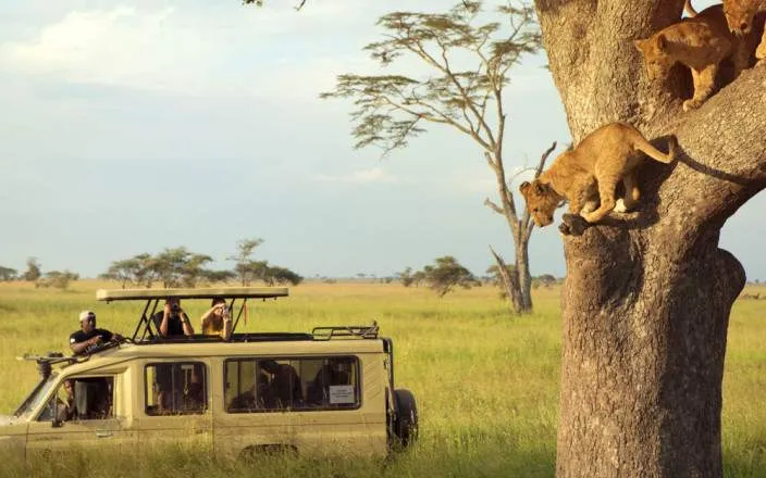 10-Day Serengeti, Ngorongoro & Tarangire  Ultra Safari
