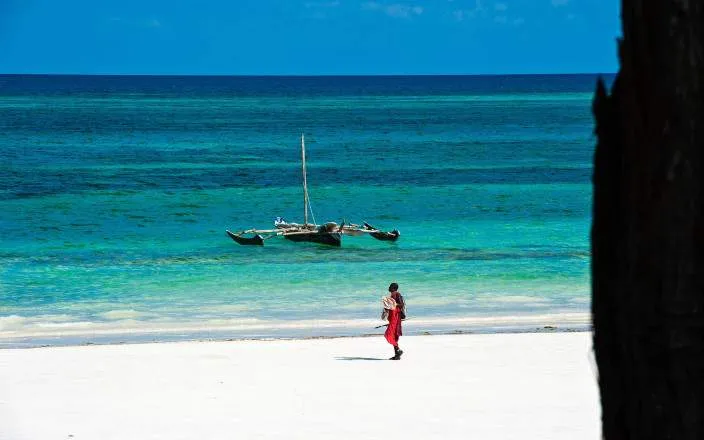 5-Day Diani Beach, Wasini Island & Marine  Life Safari