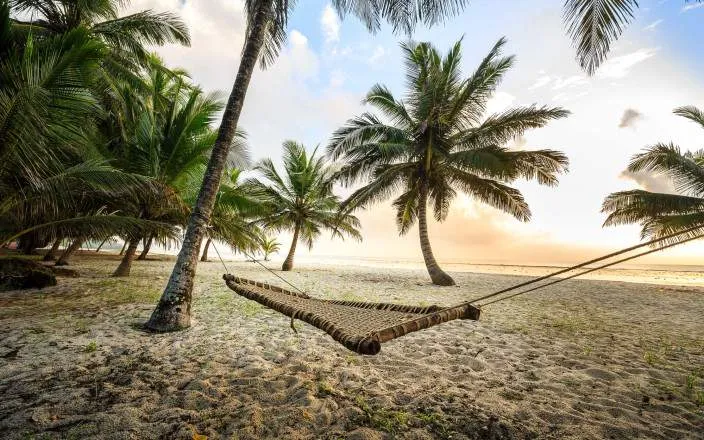 5-Day Diani Beach, Wasini Island & Marine  Life Safari