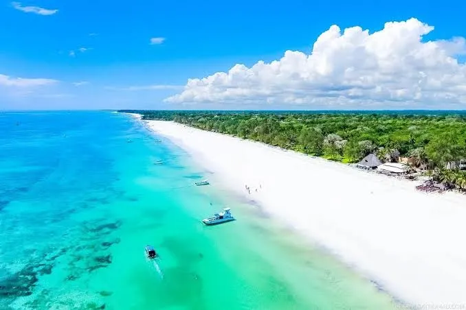 5-Day Diani Beach, Wasini Island & Marine  Life Safari