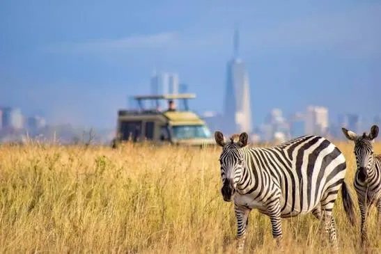 Safari de 5 jours au parc national de Nairobi, à Hell’s Gate et au lac Naivasha