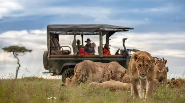 Safari de 6 días: lo mejor de Kenia